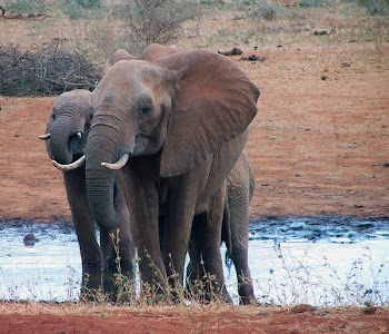 Kenia_17.jpg
