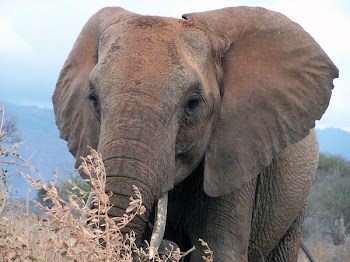 Kenia_5.jpg