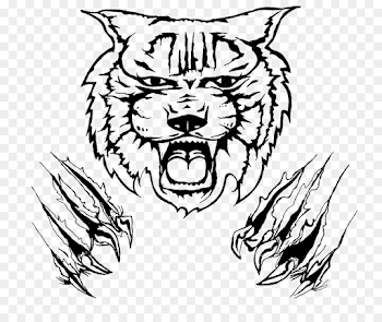 Kentucky Wildcats football Logo Clip art - design png download ...