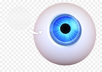 Keratoprosthesis Corneal transplantation Iris Eye - eye 