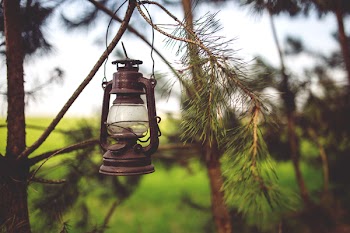 Kerosene lamp in the woods