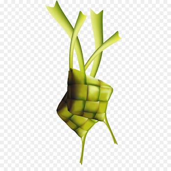 Ketupat Lepet Eid al-Fitr Food Kartu Lebaran - others 
