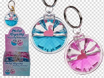 Key Chains Charms & Pendants Pressure Washers Gas, flamingo Float transparent background PNG clipart