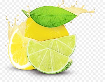 key lime lime persian lime lemon-lime green