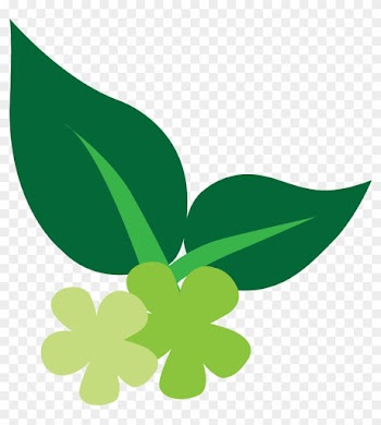 Key Natural Ingredients - Baby &amp; Natural Ingredients