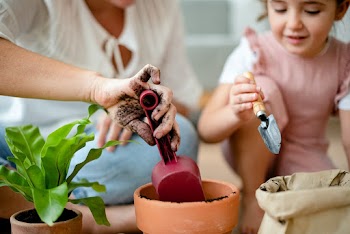 Kid DIY plant potting at home with mom | Free stock photo | High Resolution image