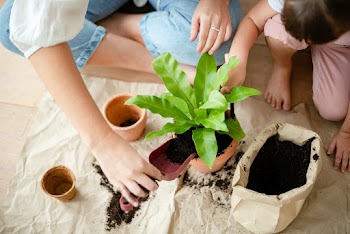 Kid DIY plant potting at home with mom | Free stock photo | High Resolution image