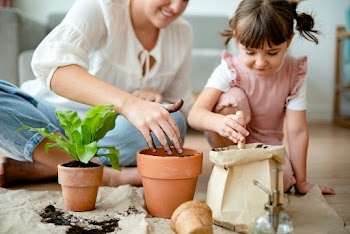 Kid potting plant at home as a hobby | Free stock photo | High Resolution image