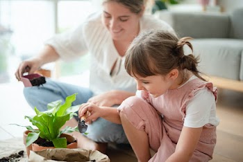 Kid potting plant at home as a hobby | Free stock photo | High Resolution image