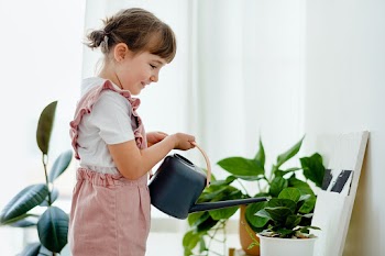 Kid watering plants at home | Free stock photo | High Resolution image