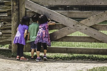 Kids At The Farm