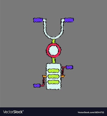 Kids bicycle vector image