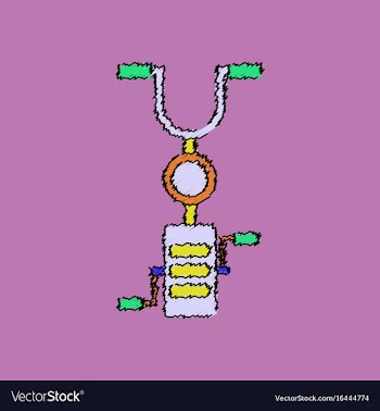 Kids bicycle vector image