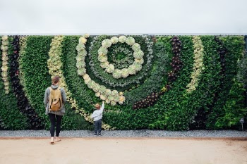 Kids love succulents.