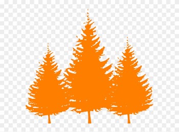 Kids Roomtreesroom - Pine Tree Silhouette Vector