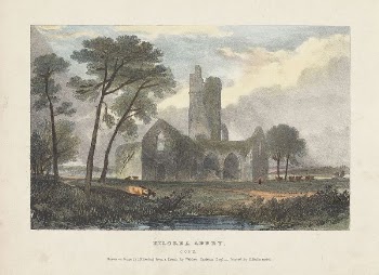Kilcrea Abbey | Free Photo - rawpixel