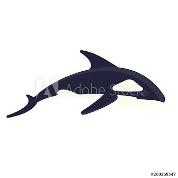 Killer whale
