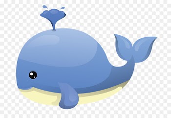 Killer whale Beluga whale Clip art - whale watercolor 