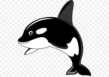 Killer whale Humpback whale Clip art - Orca Cliparts 