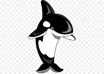 Killer whale Shamu Clip art - Orca Cliparts 