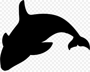 Killer whale Silhouette Clip art - whale 