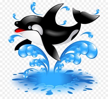 Killer whale Stock photography Illustration Whales Image - cartoon dolphin 