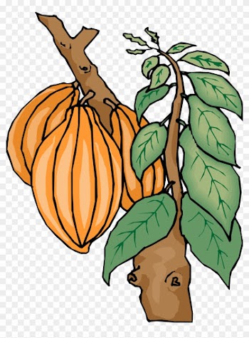 Kinder Chocolate Theobroma Cacao Cocoa Bean Cocoa Butter - Cocoa Tree Clip Art