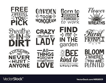 kindness svg bundle