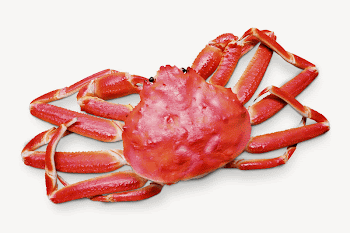King crab, collage element psd | Free PSD - rawpixel