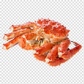 King crab crab transparent background PNG clipart