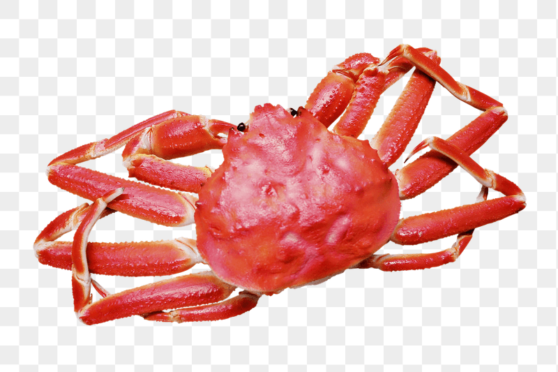 King crab png sticker, transparent | Free PNG - rawpixel