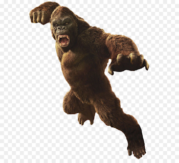 King Kong Godzilla YouTube MonsterVerse Film - godzilla png ...