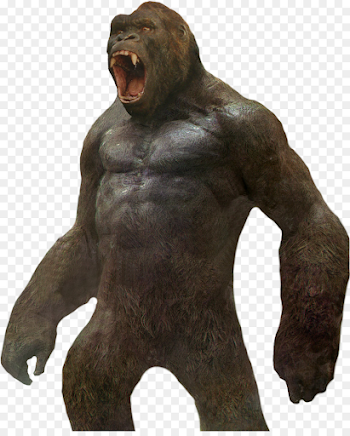 King Kong YouTube MonsterVerse Kaiju Photography - king kong png ...