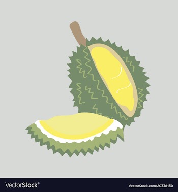 King of thai fruit with hand drawn vector image