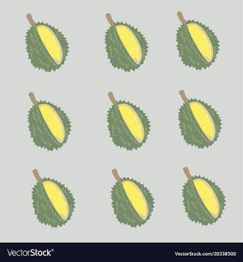 King of thai fruit with hand drawn vector image