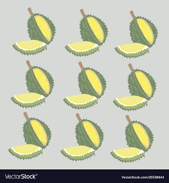 King of thai fruit with hand drawn vector image