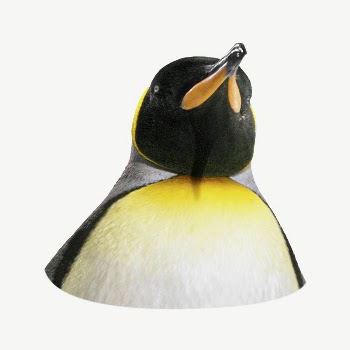 King penguin collage element psd | Free PSD - rawpixel