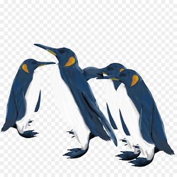 King penguin Emperor penguin Animal Illustration - penguin 