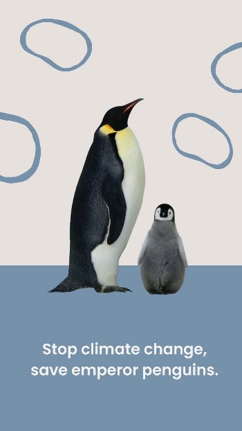 King penguin Facebook story template, | Free Vector Template - rawpixel