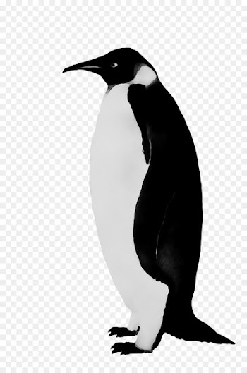 King penguin Fauna Beak -  
