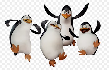 King penguin Image Madagascar Desktop Wallpaper -  