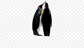 King penguin Product Trade catalogue Download - penguin 