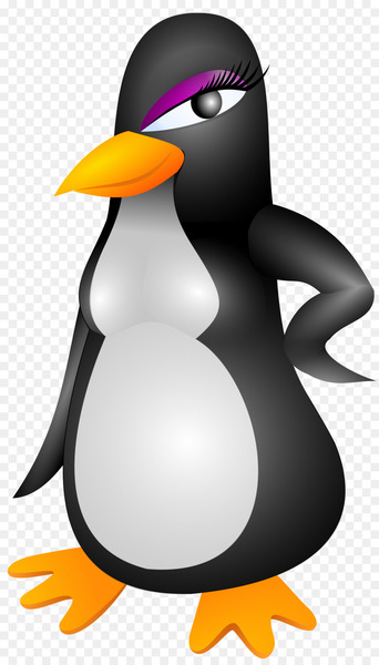 King penguin Vector graphics Clip art Image - penguin 