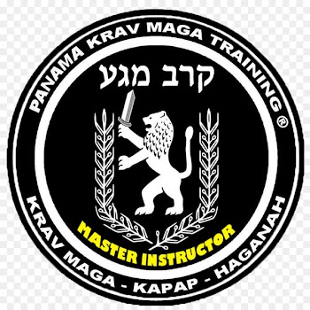 Kingdom of Judah Lion of Judah Jerusalem Jewish people - lion 