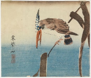 Kingfisher, 1800 - 1850 | Free Photo - rawpixel