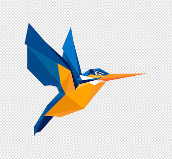 Kingfisher Bird PNG Background Image