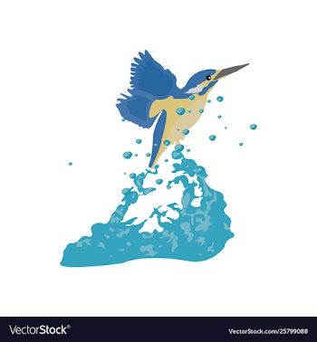 Kingfisher image vector image