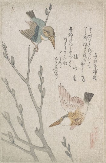 Kingfishers and Pussy-willow by Kubo | Free Photo - rawpixel