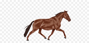 Kingston Museum Horse Stock photography Royalty-free - horse 