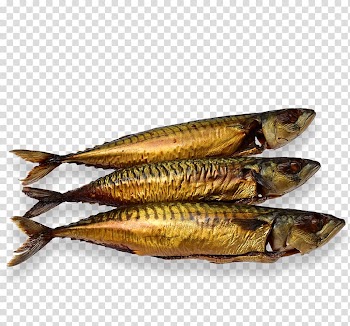 Kipper Atlantic mackerel Oily fish, Haring transparent background PNG clipart